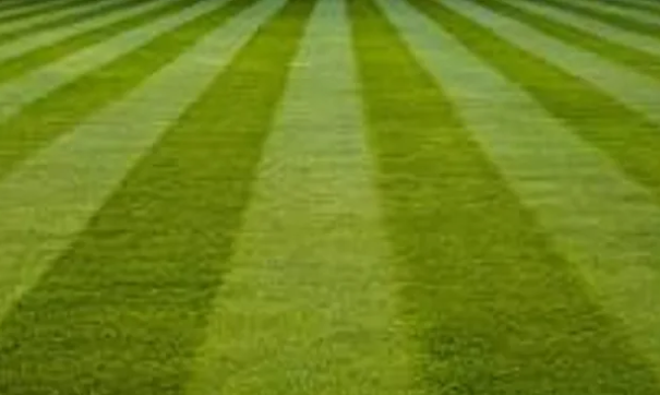 image_2024-05-08_101122383