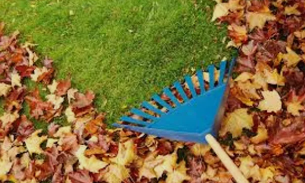 image_2024-05-09_115023242