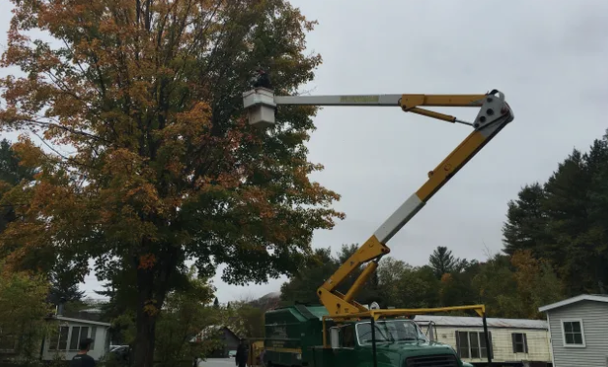 image_2024-05-09_115058091