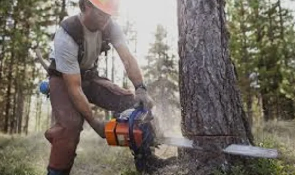 image_2024-05-09_132950086