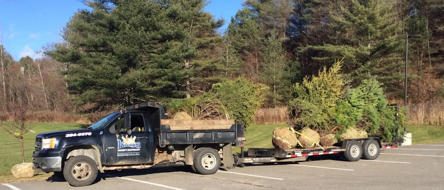 image_2024-05-09_145852909